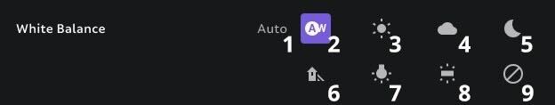 white-balance_options_ml2.jpg